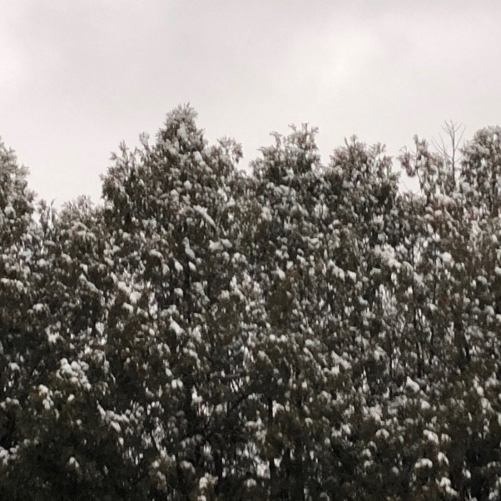 Meet your Posher, Isabel